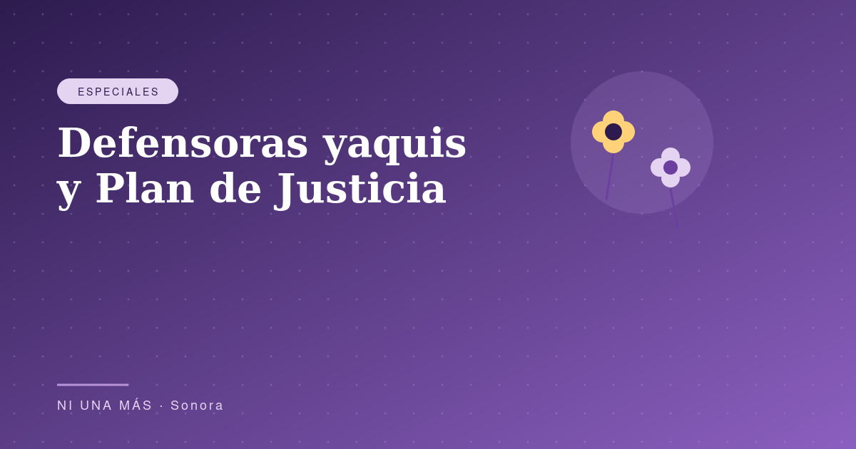 Defensoras yaquis y el Plan de Justicia