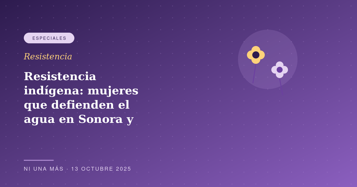 Resistencia indígena: mujeres que defienden el agua en Sonora y Oaxaca