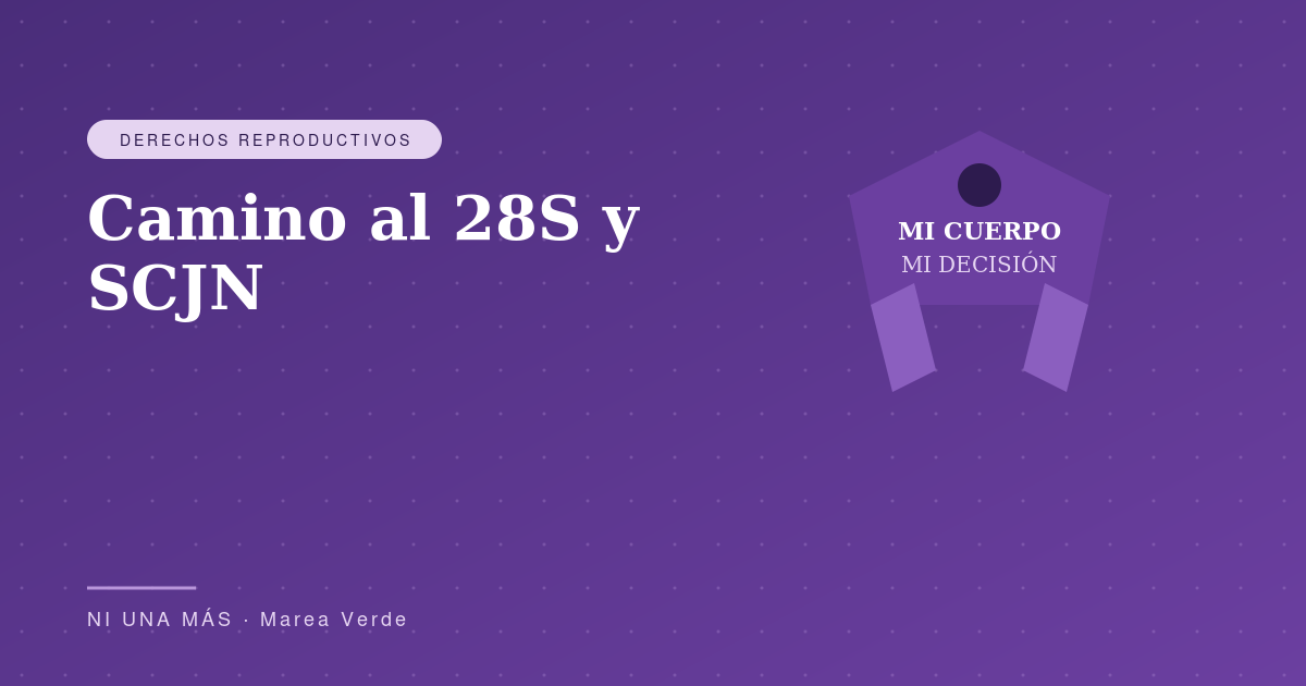 Camino al 28S y SCJN