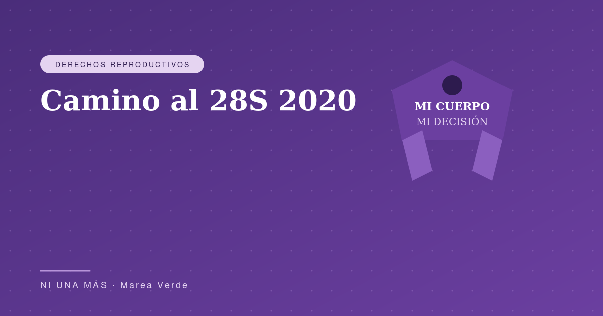 Camino al 28S 2020