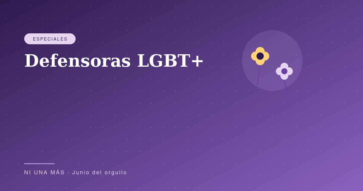 Defensoras LGBT+: derechos en disputa