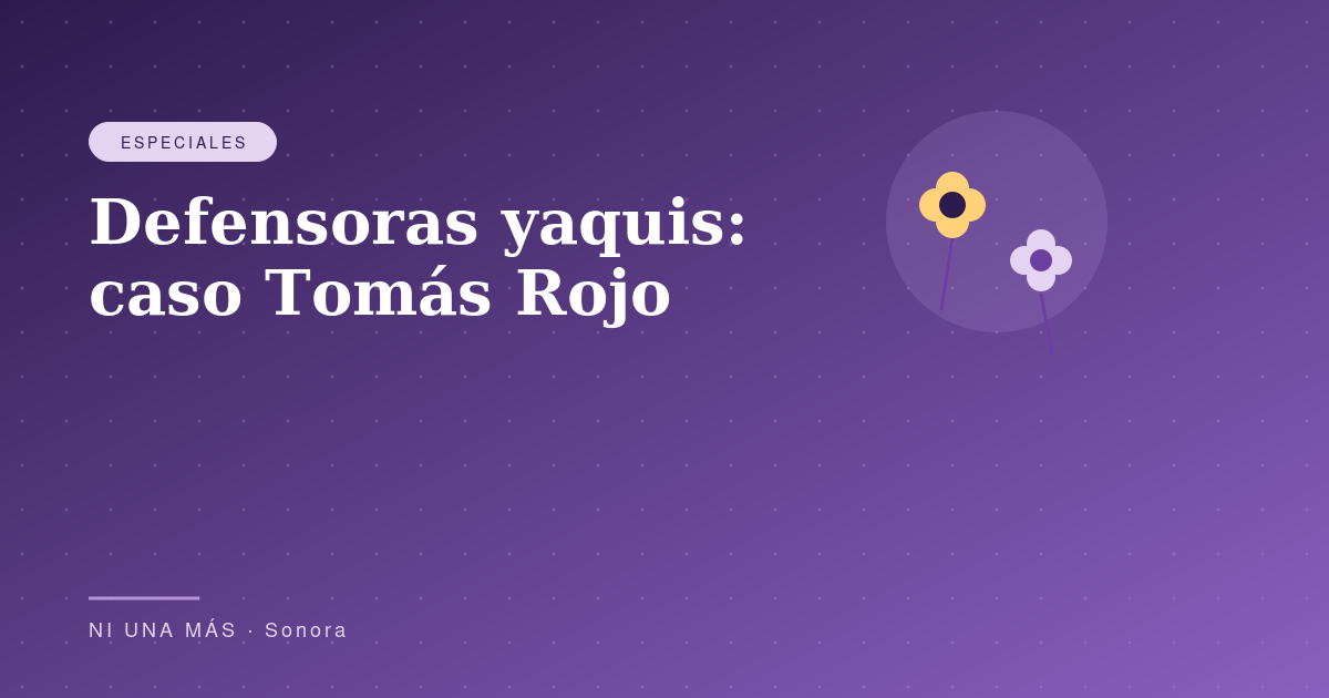 Defensoras yaquis: caso Tomás Rojo