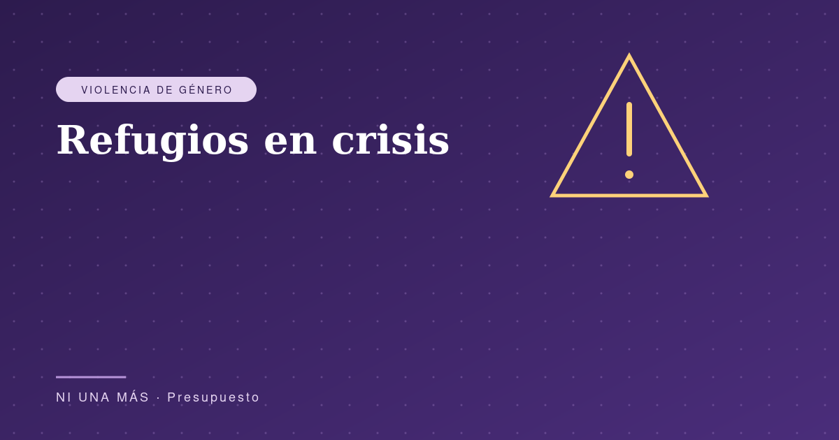 Refugios en crisis: presupuesto y saturación