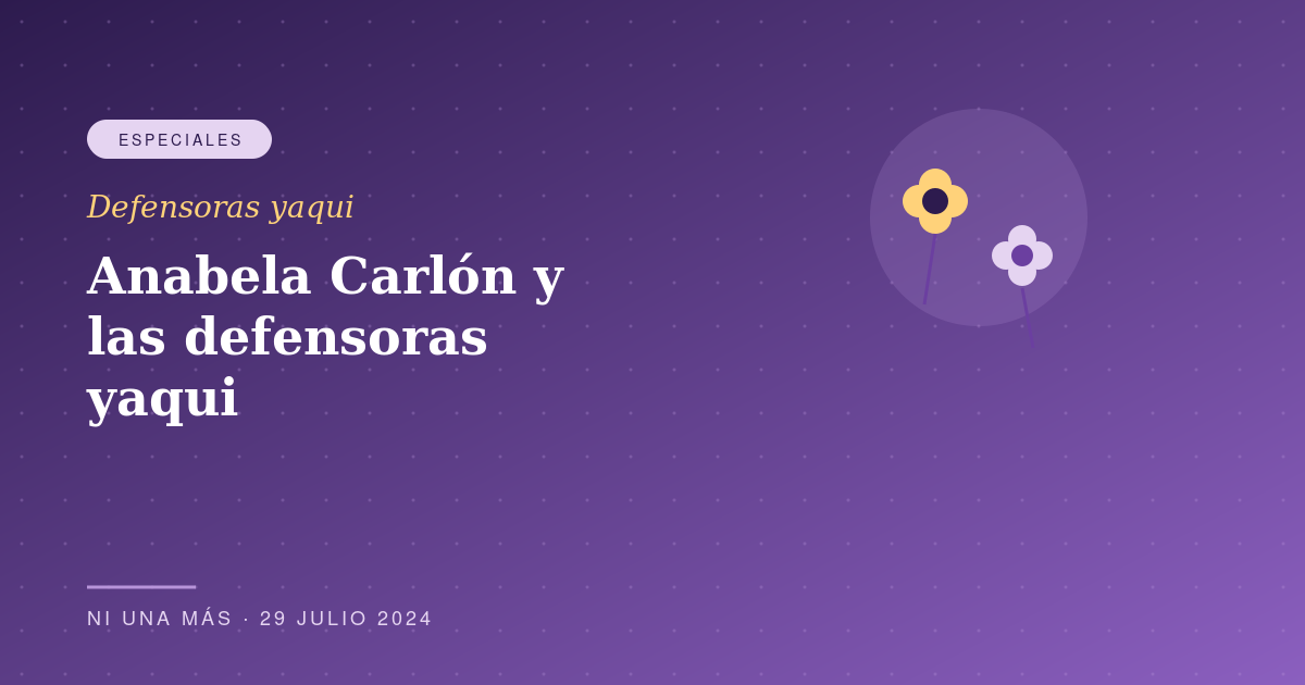 Anabela Carlón y las defensoras del territorio yaqui