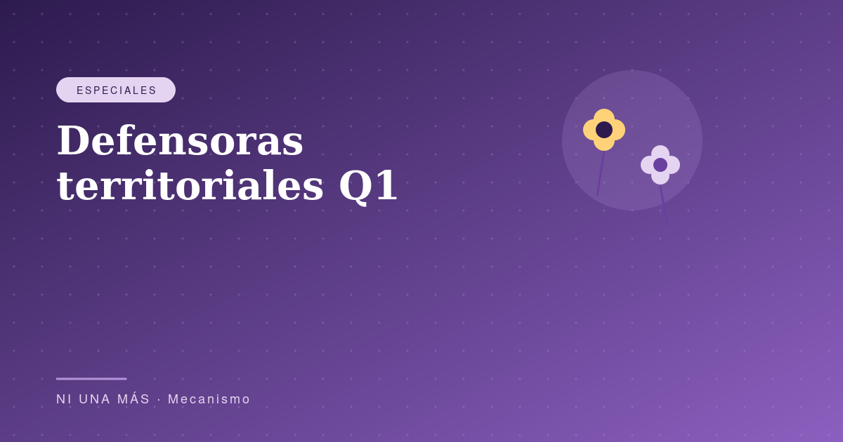 Defensoras territoriales primer trimestre